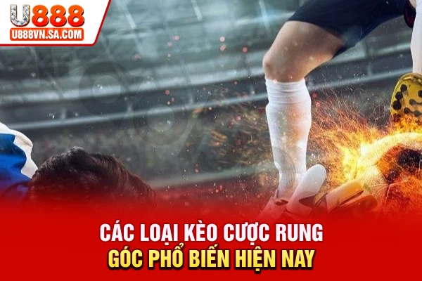 Các loại kèo cược rung góc phổ biến hiện nay