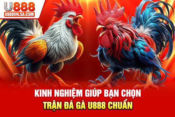 Kinh nghiệm giúp bạn chọn trận đá gà U888 chuẩn